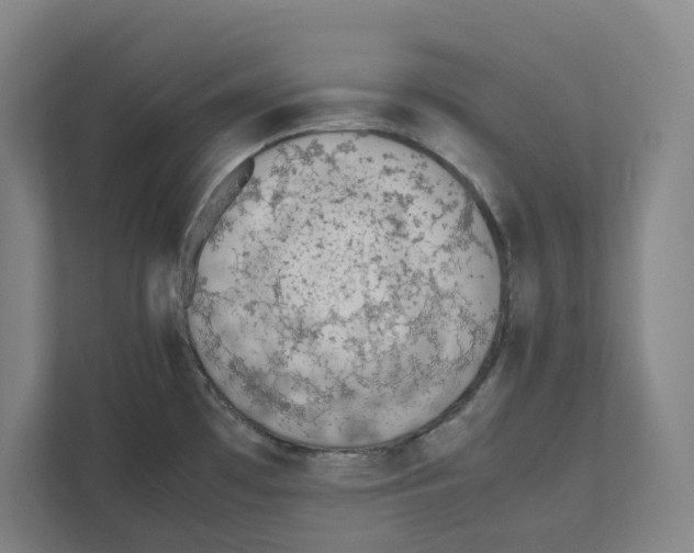 X0000111451481200908101024