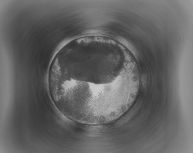 X0000111451482200908101024
