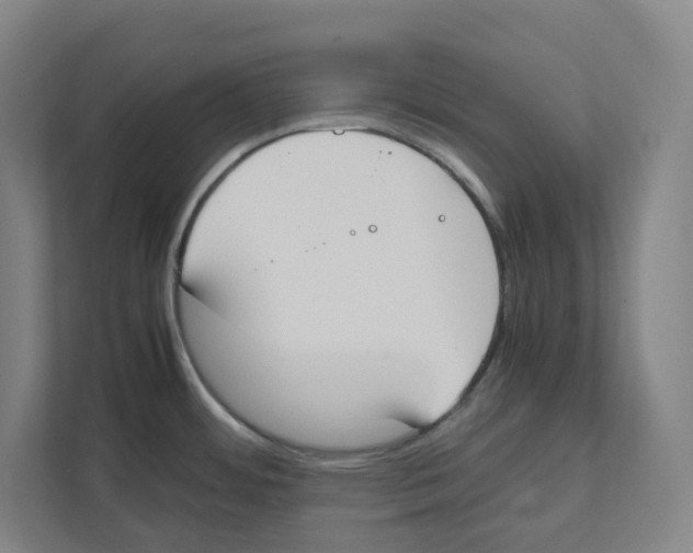 X0000111451484200908101024