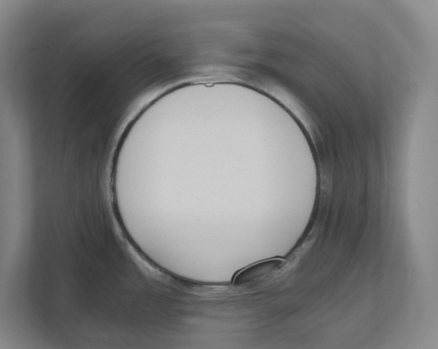 X0000111451485200908101024