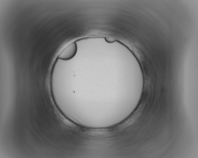 X0000111451486200908101024