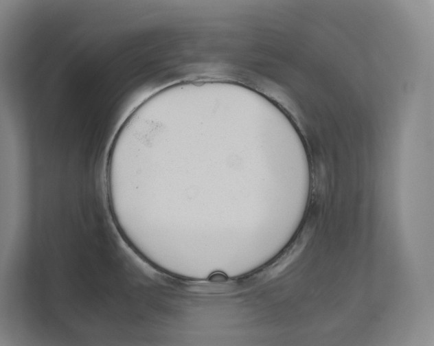 X0000111451487200908101024
