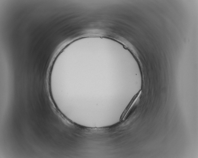 X0000111451488200908101024