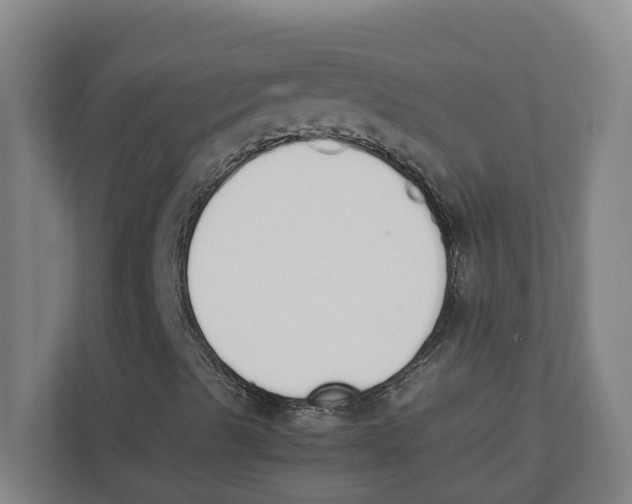 X0000111451489200908101024