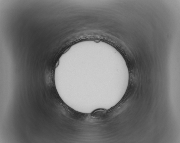 X0000111451490200908101024