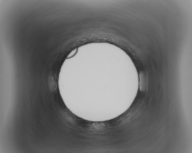 X0000111451491200908101024
