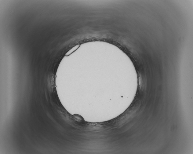 X0000111451492200908101024