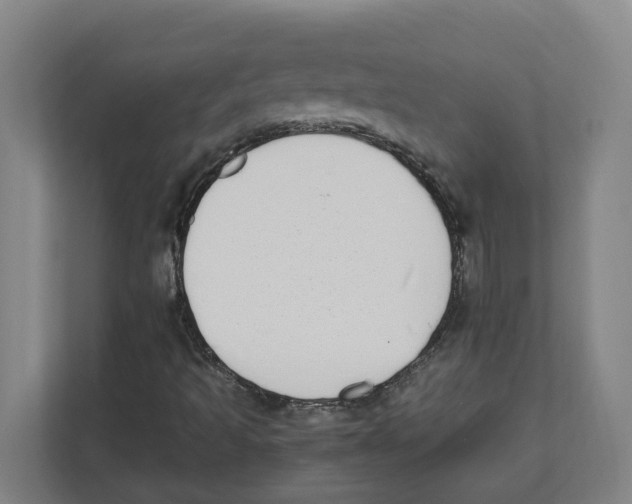 X0000111451493200908101024