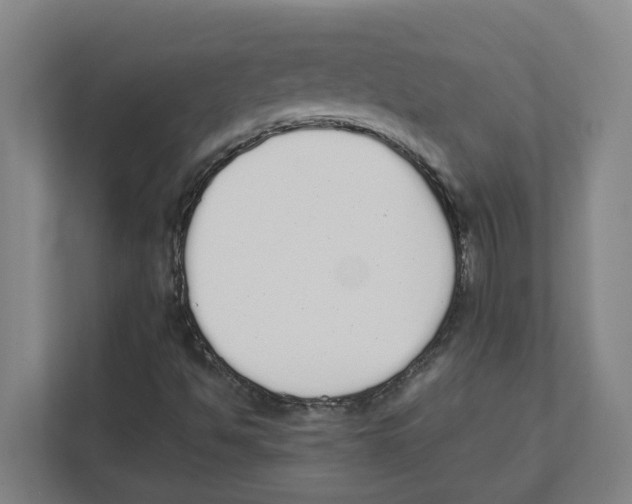 X0000111451494200908101024