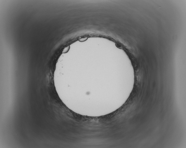 X0000111451495200908101024