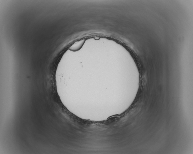 X0000111451496200908101024