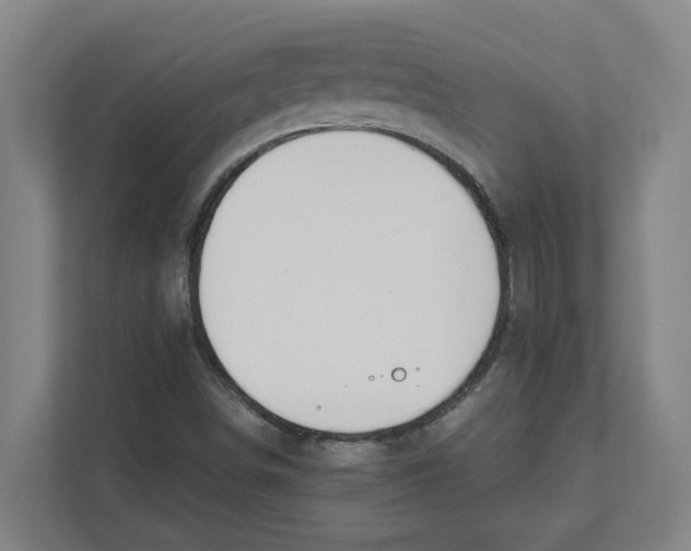 X0000111451498200908101024