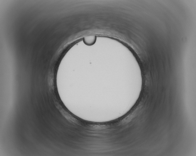 X0000111451499200908101024