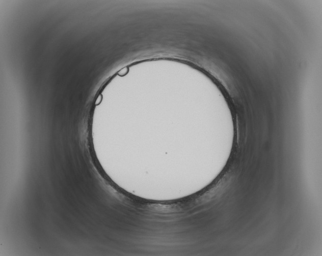 X0000111451500200908101024