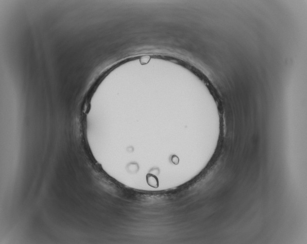 X0000111451501200908101024