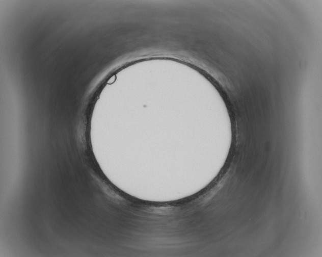 X0000111451502200908101024