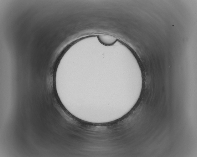 X0000111451503200908101024