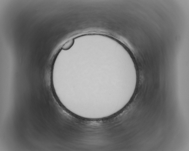 X0000111451504200908101024
