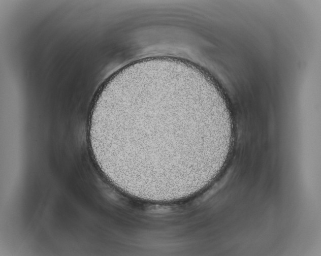 X0000111451505200908101024