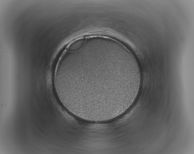 X0000111451506200908101024