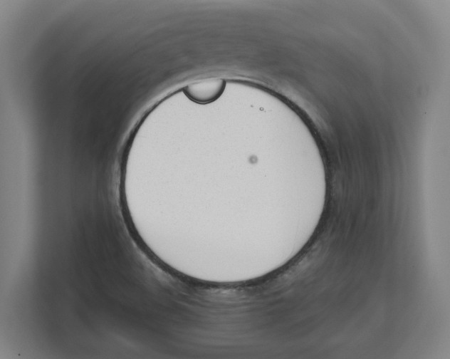 X0000111451508200908101024