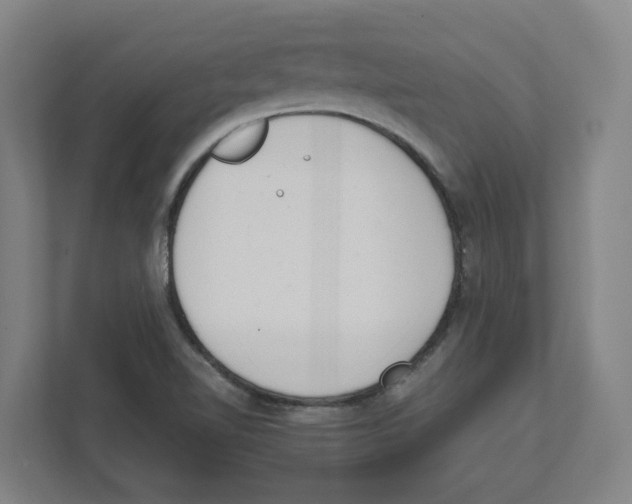 X0000111451510200908101024