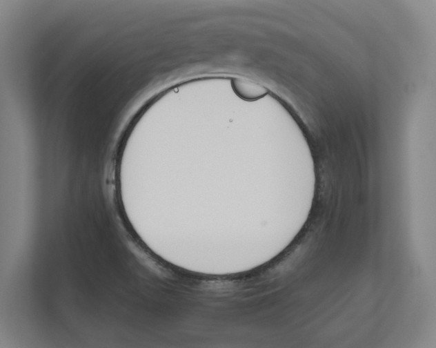 X0000111451511200908101024