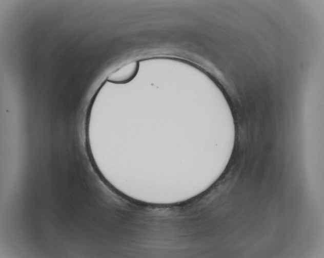 X0000111451512200908101024
