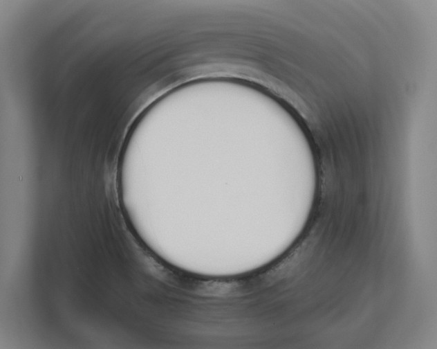 X0000111451513200908101024