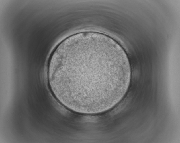 X0000111451514200908101024