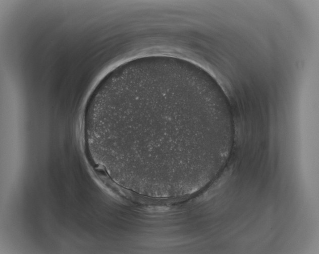 X0000111451515200908101024