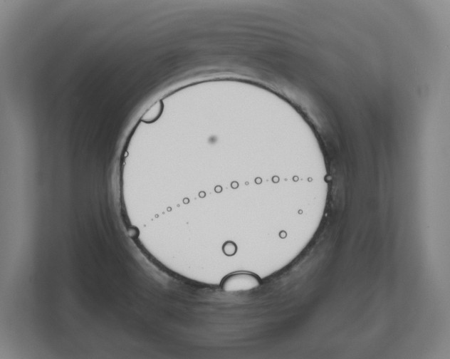 X0000111451516200908101024