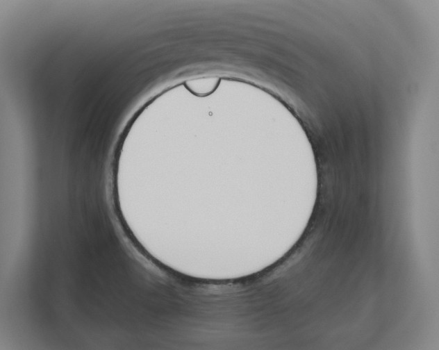 X0000111451518200908101024