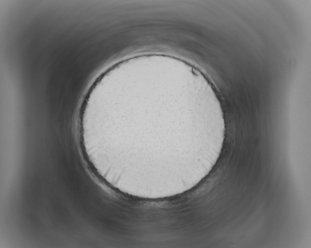X0000111451519200908101024