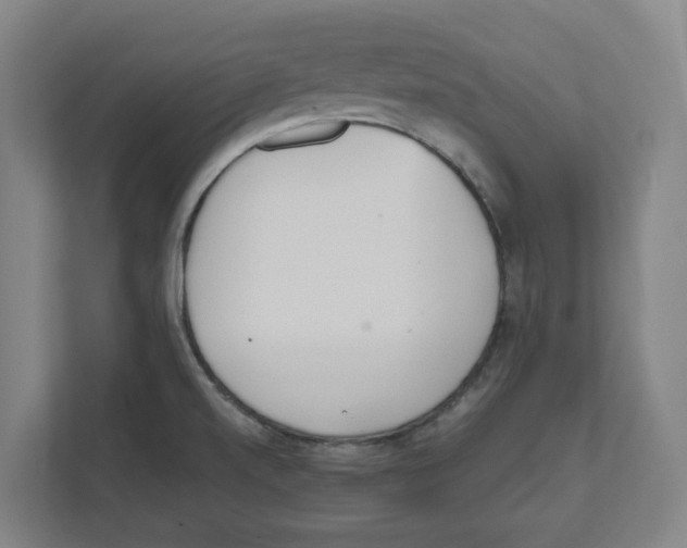 X0000111451520200908101024