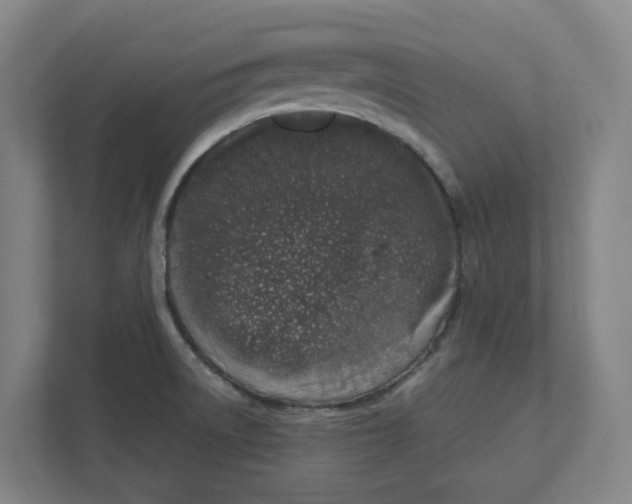 X0000111451522200908101024