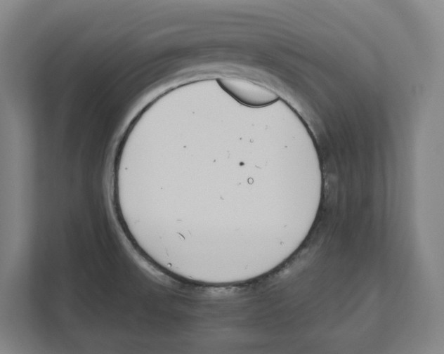 X0000111451523200908101024