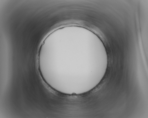 X0000111451524200908101024