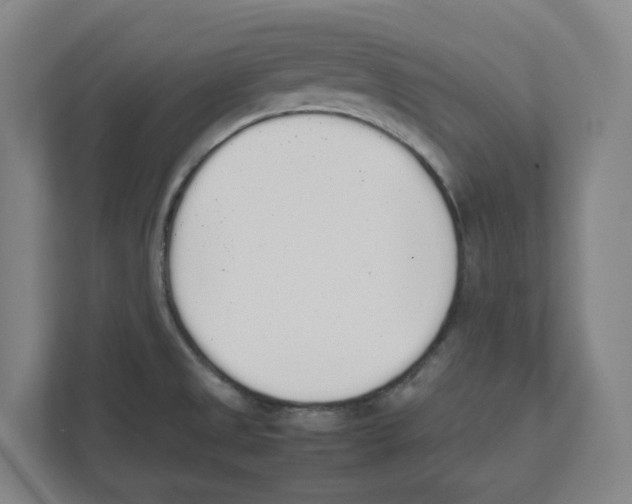 X0000111451525200908101024