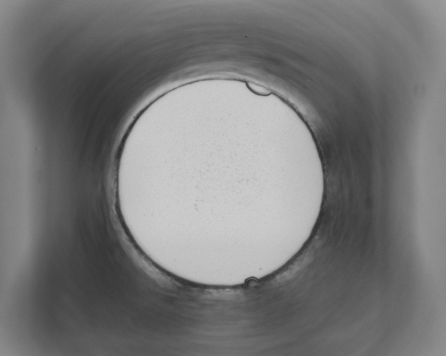 X0000111451526200908101024