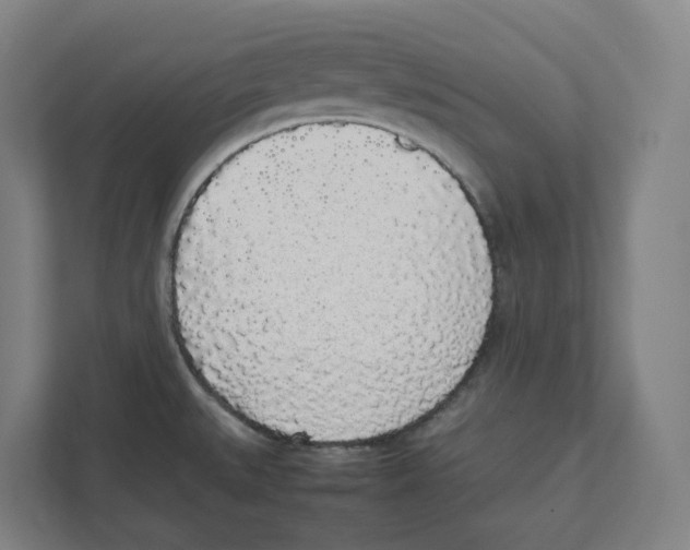 X0000111451527200908101024