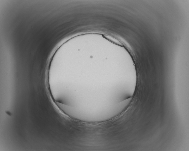 X0000111451528200908101024