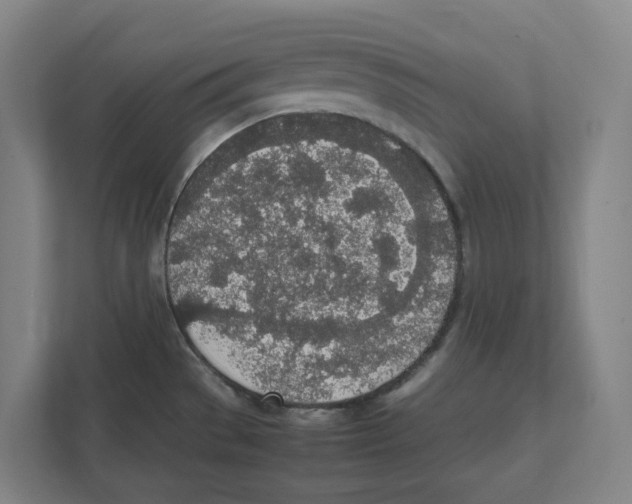 X0000111451529200908101024