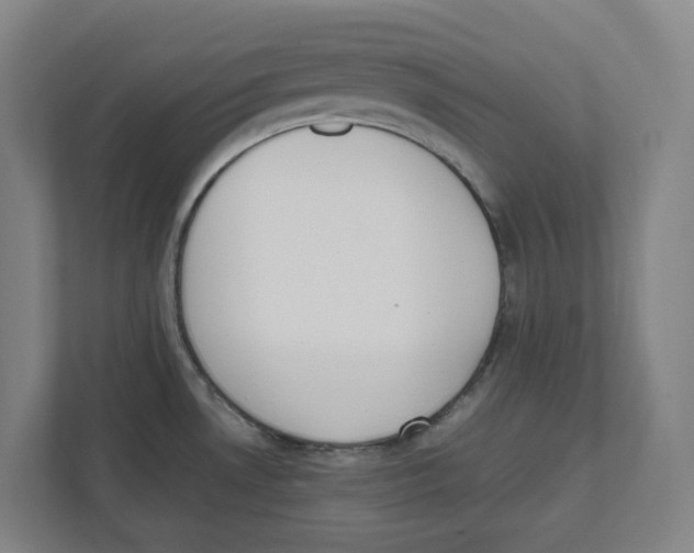 X0000111451530200908101024