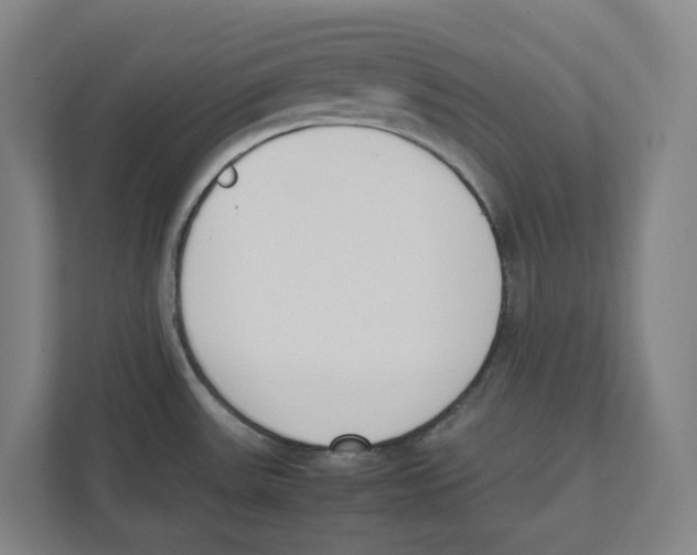 X0000111451531200908101024