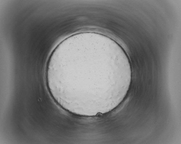X0000111451533200908101024