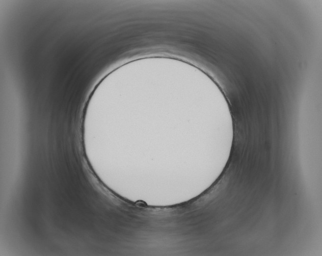 X0000111451534200908101024