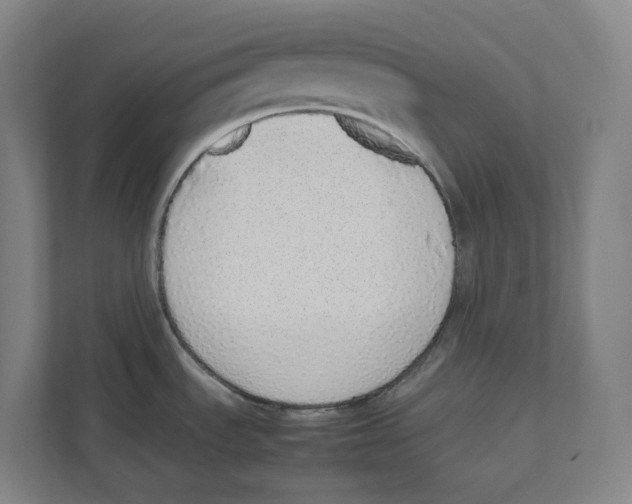 X0000111451535200908101024