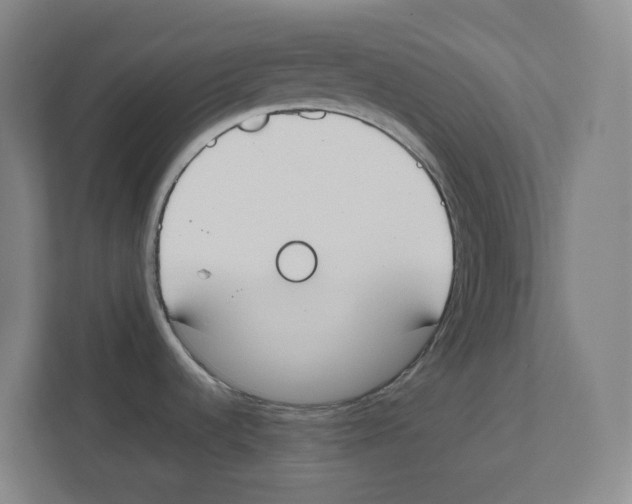 X0000111451536200908101024