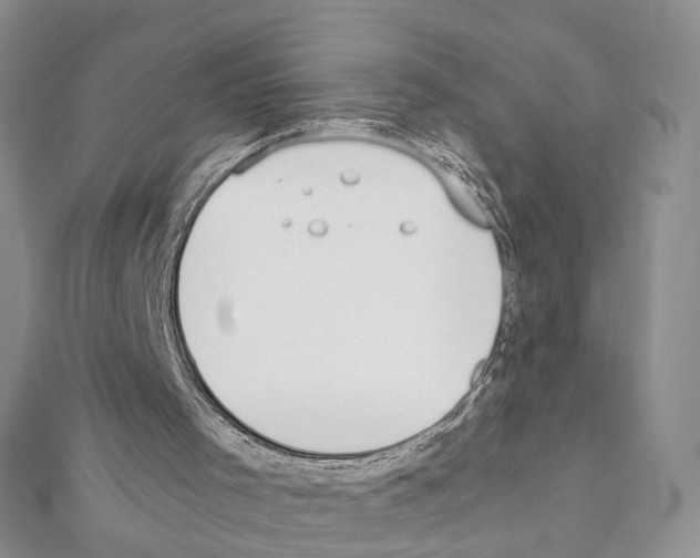 X0000111450001200908241216